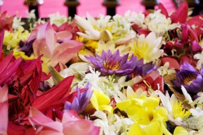 Lotosové kvety v recitačnej sále. Lotos je národný kvet Srí Lanky