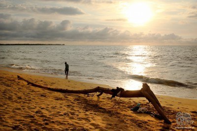 Pláž Negombo